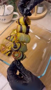 Threading the eggplant meat rolls onto wooden skewers for baking.